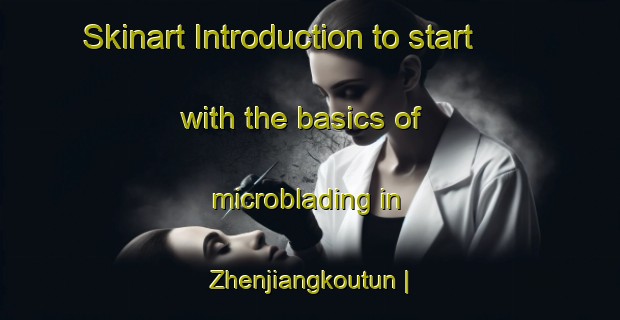 Skinart Introduction to start with the basics of microblading in Zhenjiangkoutun | MicrobladingTraining | MicrobladingClasses | SkinartTraining-China